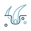 The HWC Service icons - Hair