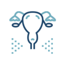 The HWC Service icons - Pelvic